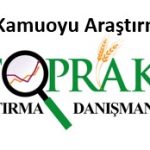 Araştırma şirketi